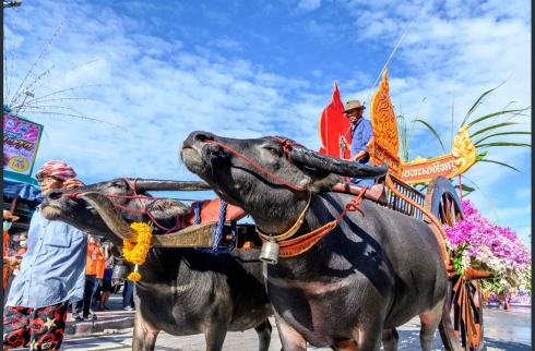 Festîvala salane ya gamêş li Taylandê